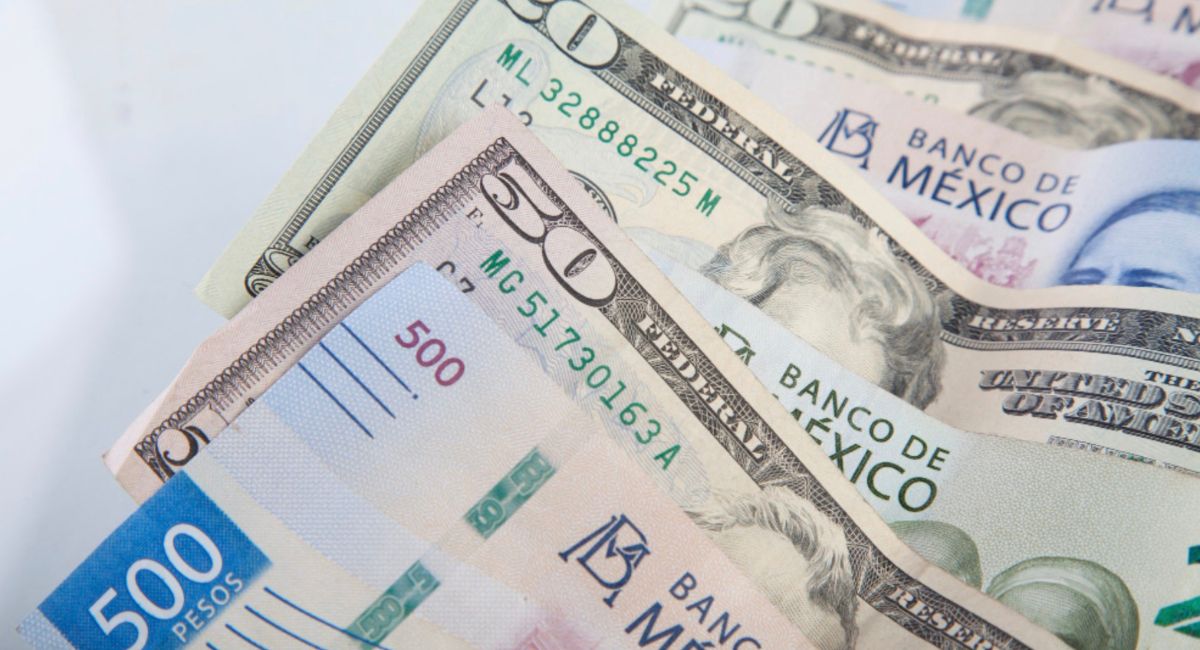 Conoce todos los detalles sobre el precio del dólar. Foto: Internet