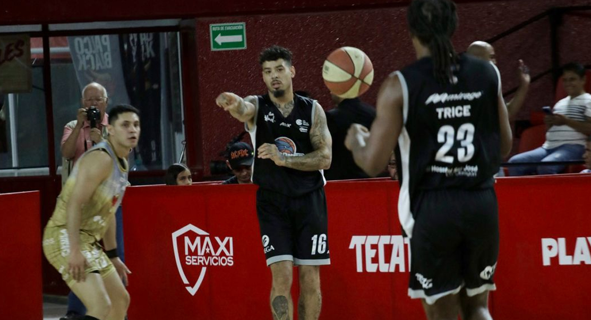 Halcones silencia el audiToro y tiene medio boleto a las semifinales