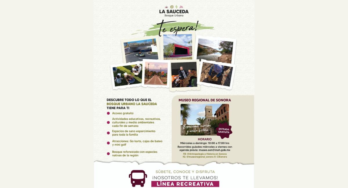 ¡Ir a La Sauceda será más fácil! Gobierno de Sonora anuncia nueva línea de transporte gratuita