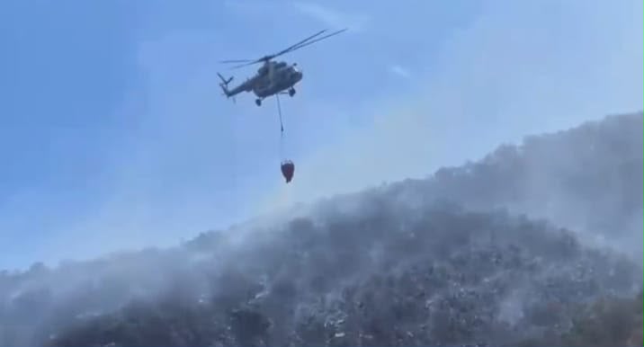 Avanza control del incendio forestal en Arivechi; alcanza 70 por ciento