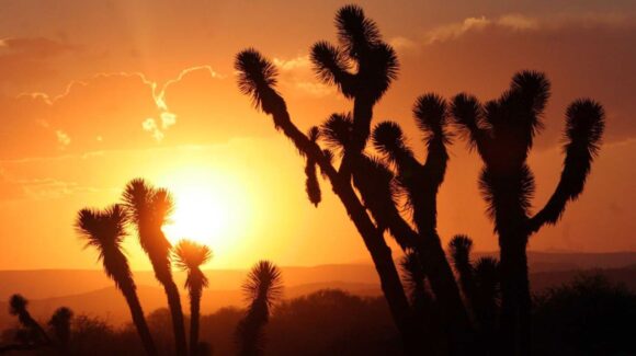 CEPC: Continuarán las condiciones de calor extremo y posibles lluvias vespertinas