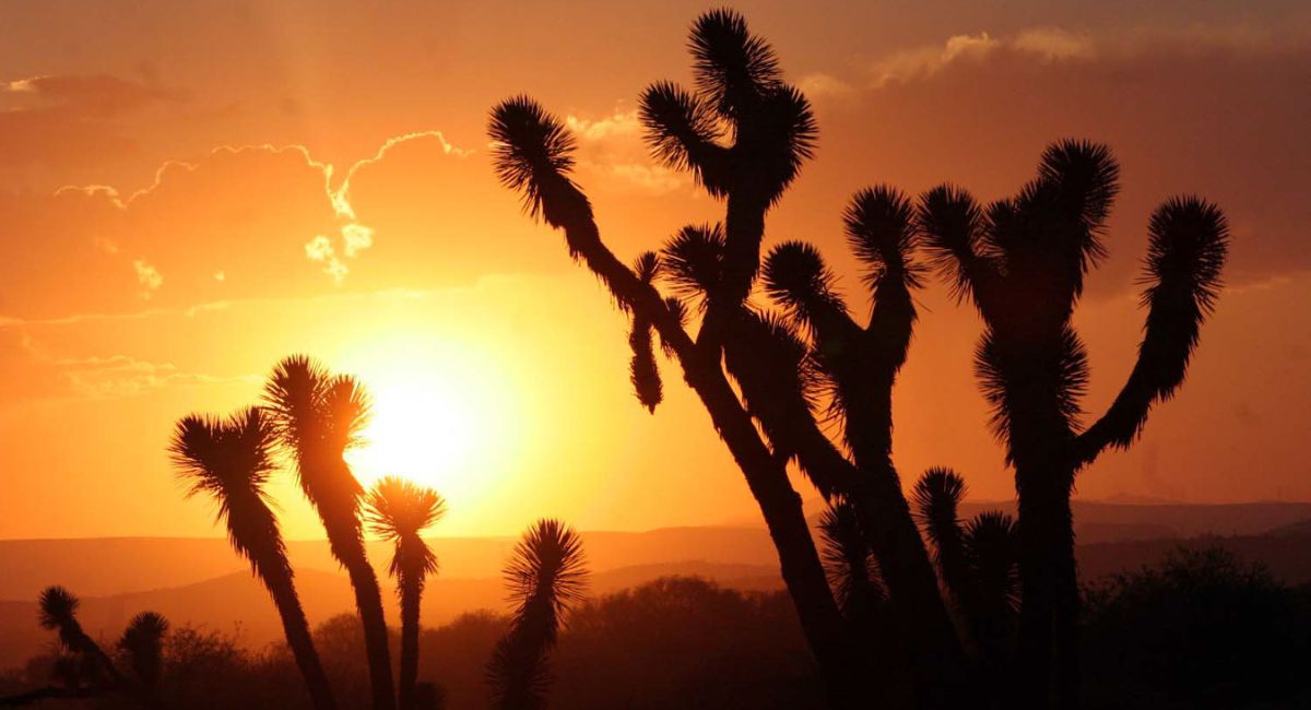 CEPC: Continuarán las condiciones de calor extremo y posibles lluvias vespertinas
