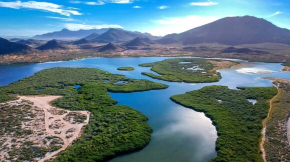 Día Mundial del Medio Ambiente: Cedes refuerza acciones para proteger ecosistemas y biodiversidad en Sonora