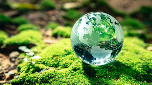 Día Mundial del Medio Ambiente: ¿Por qué se conmemora esta fecha?