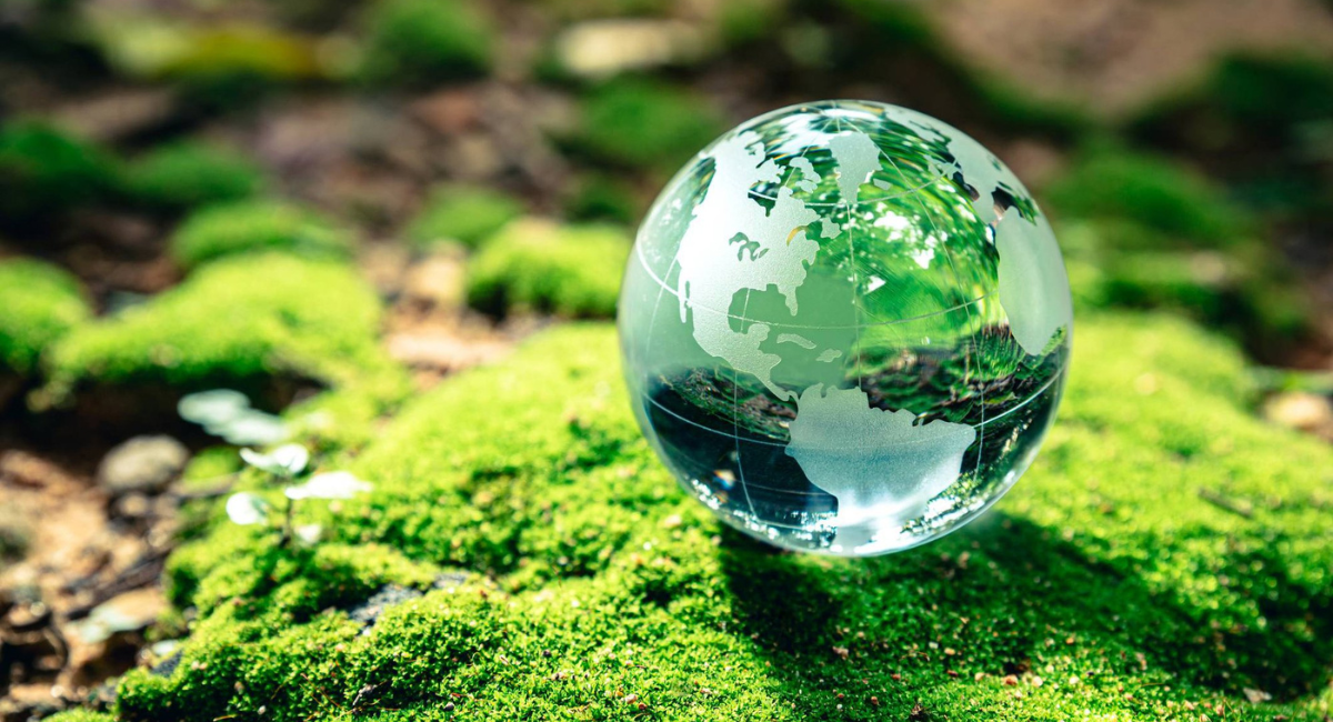 Día Mundial del Medio Ambiente: ¿Por qué se conmemora esta fecha?