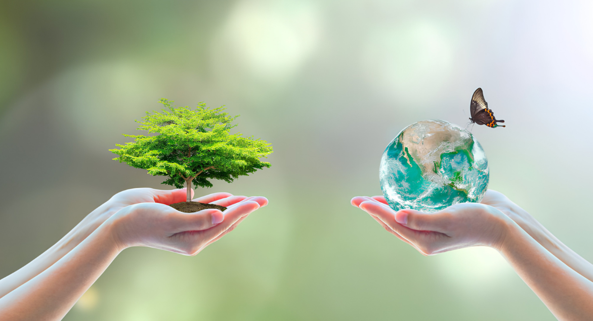 Día Mundial del Medio Ambiente: ¿Por qué se conmemora esta fecha?
