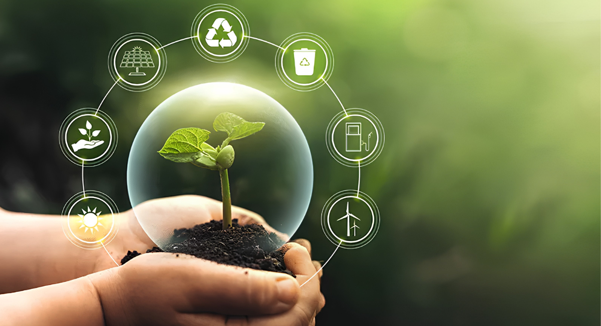 Día Mundial del Medio Ambiente: ¿Por qué se conmemora esta fecha?