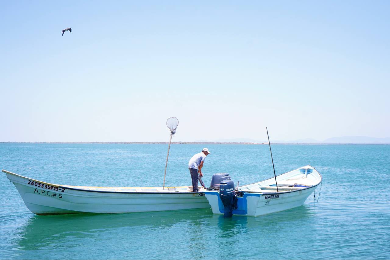 Durazo apuesta por la pesca deportiva para impulsar turismo y economía en Sonora