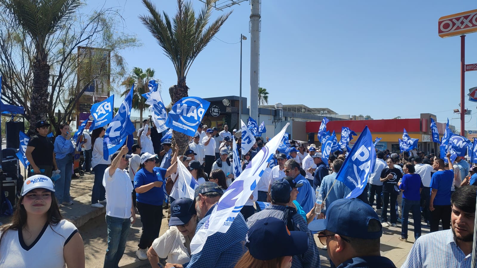El PAN Sonora se sumó en actividad nacional desde Hermosillo