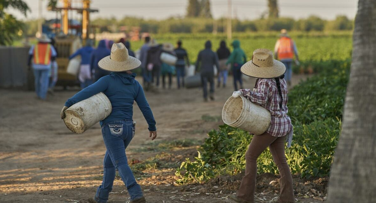 Estados Unidos emite alerta para que bancos denuncien a trabajadores inmigrantes indocumentados