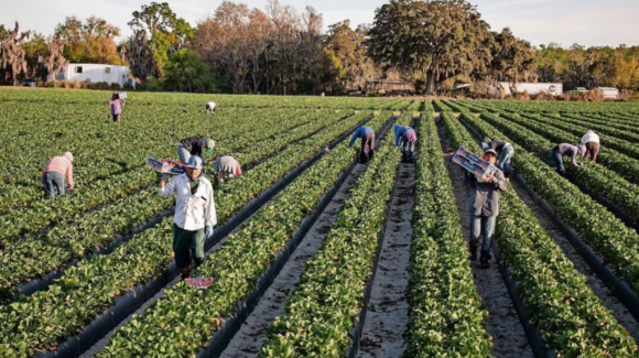 Estados Unidos emite alerta para que bancos denuncien a trabajadores inmigrantes indocumentados