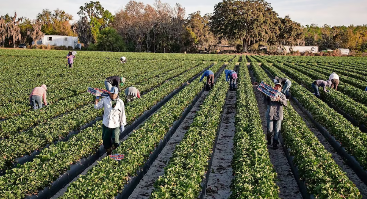 Estados Unidos emite alerta para que bancos denuncien a trabajadores inmigrantes indocumentados
