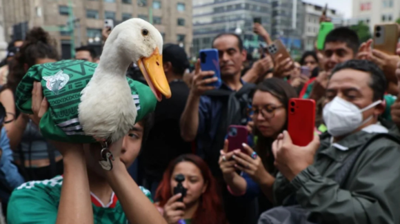 Familia del ‘Pato Merlín’ busca registro oficial para evitar que lucren con su imagen