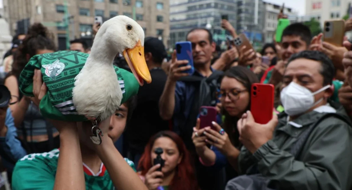 Familia del 'Pato Merlín' busca registro oficial para evitar que lucren con su imagen