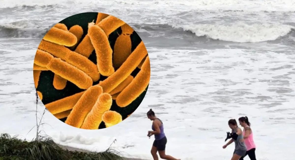 Florida confirma cinco casos de infección por bacteria carnívora 