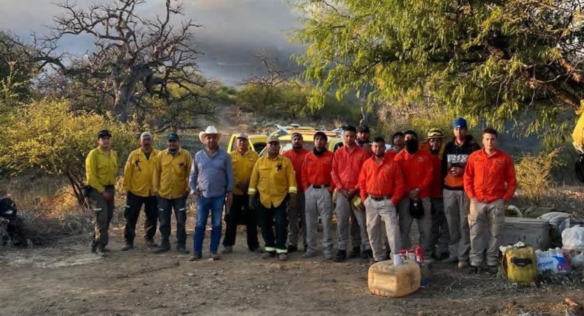 Gobierno de Sonora fortalece acciones de combate al incendio forestal en Tarachi