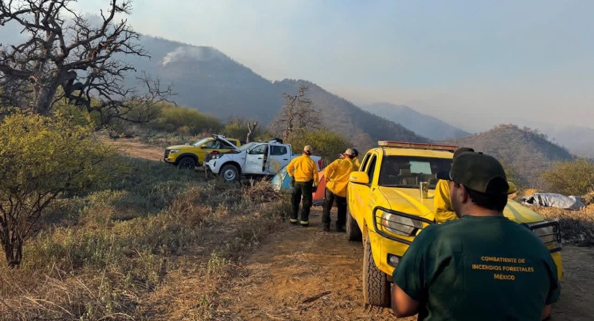 Gobierno de Sonora fortalece acciones de combate al incendio forestal en Tarachi