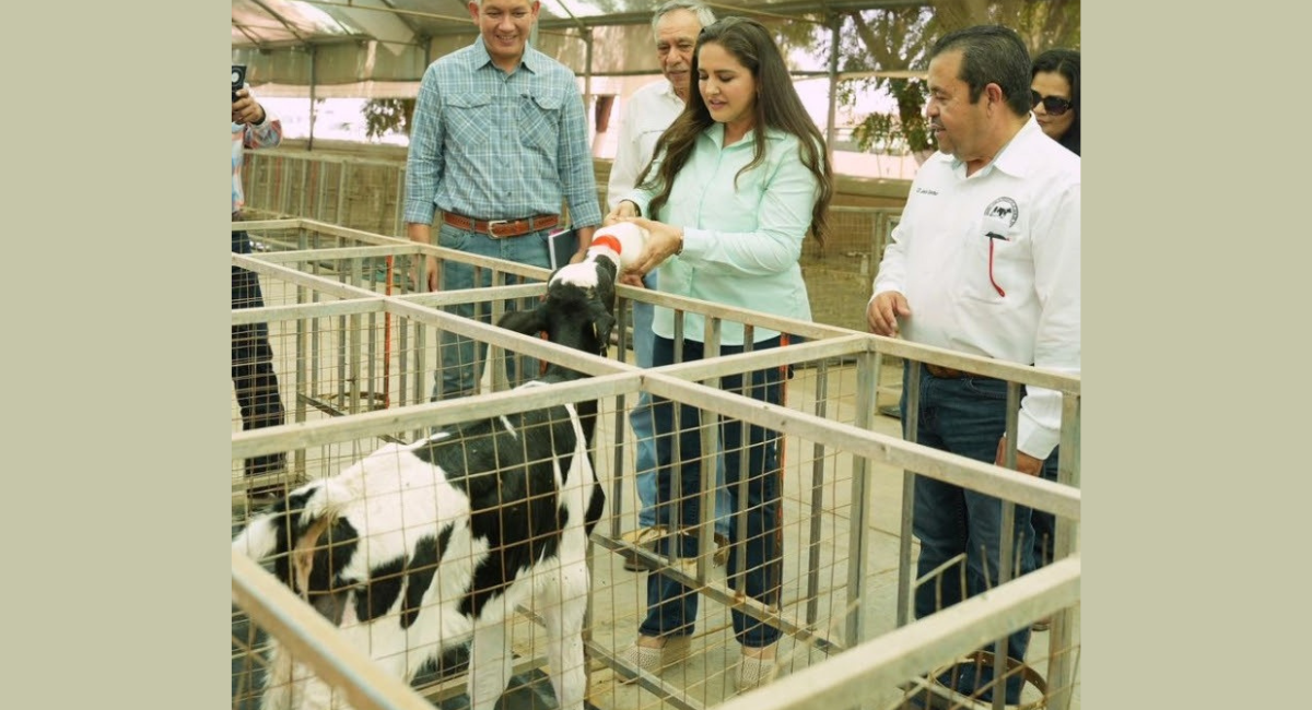 Gobierno de Sonora reconoce a productores lecheros en el Día Mundial de la Leche