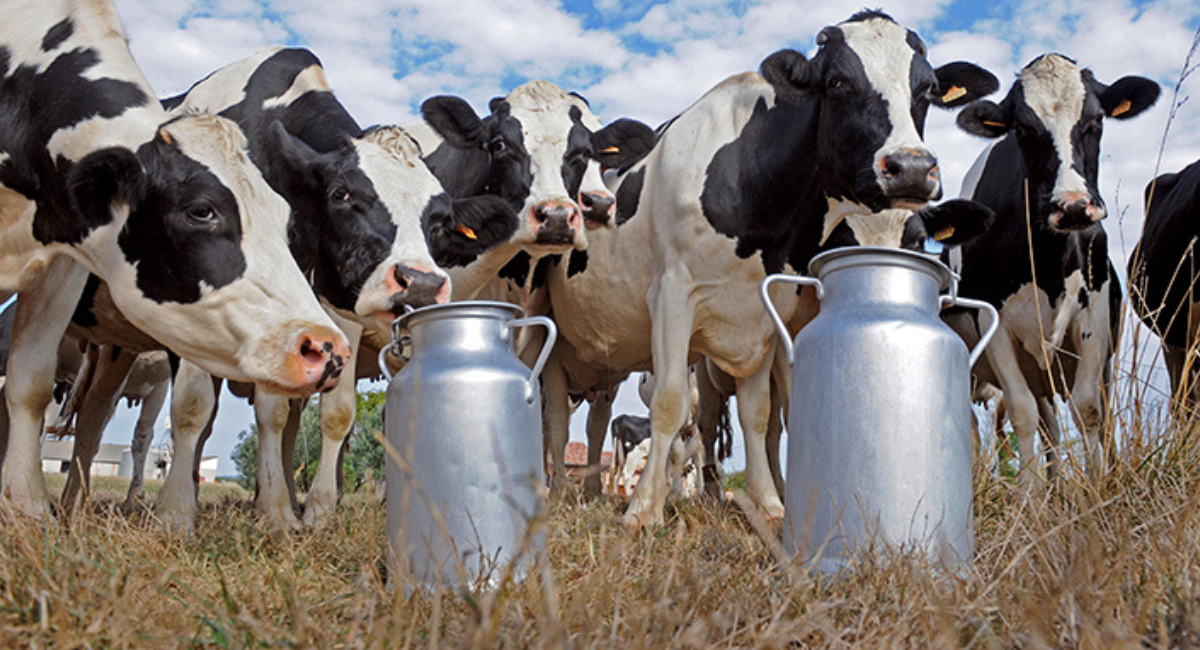 Gobierno de Sonora reconoce a productores lecheros en el Día Mundial de la Leche