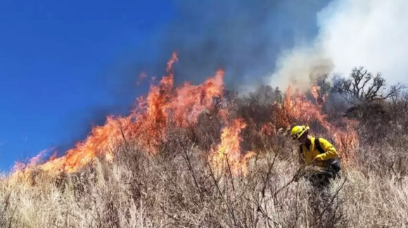 Protección Civil Sonora reporta control del 35% en incendio de Arivechi; van 615 hectáreas afectadas