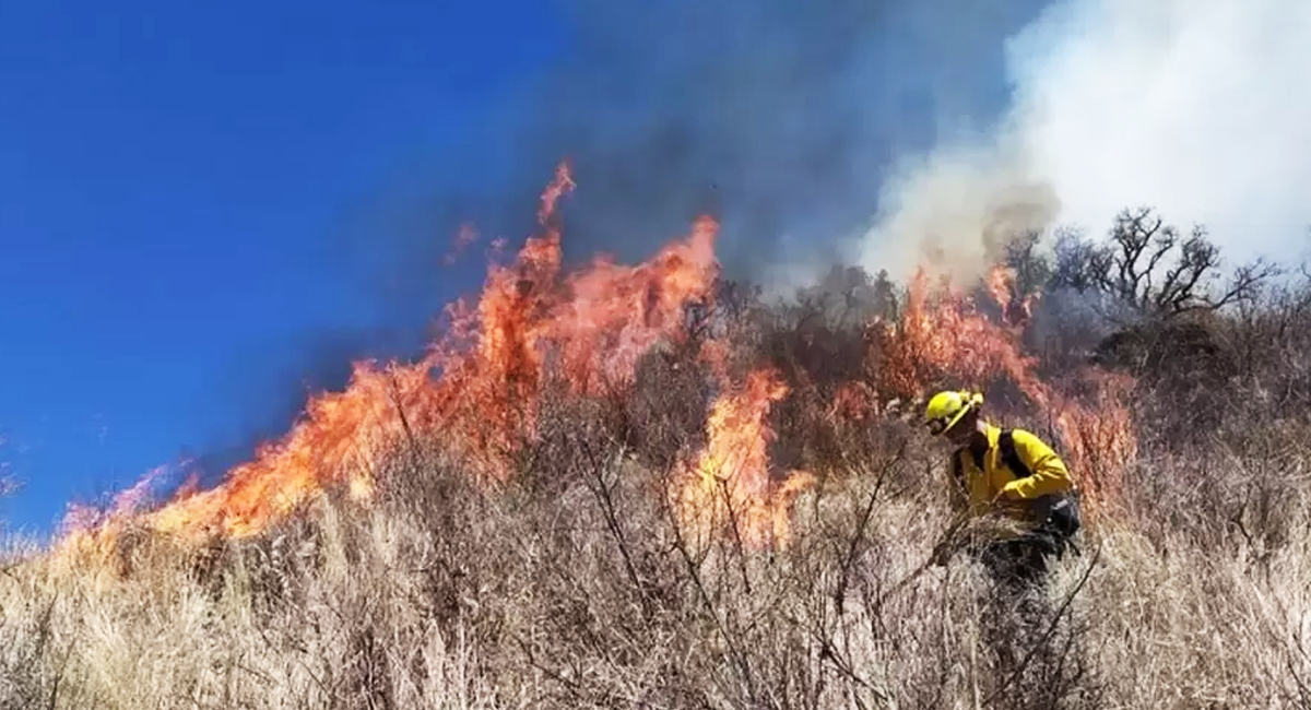 Protección Civil Sonora reporta control del 35% en incendio de Arivechi; van 615 hectáreas afectadas