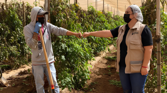 INEA acerca educación básica a más de 900 jornaleros agrícolas migrantes: SEP