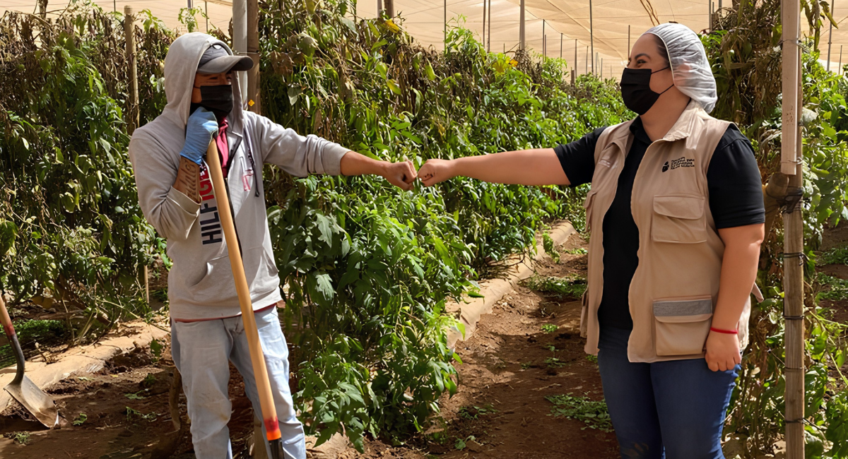 INEA acerca educación básica a más de 900 jornaleros agrícolas migrantes: SEP