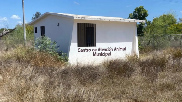 Donarán terreno del antiguo Centro Animal a la asociación ‘Milagro Canino’ en Navojoa