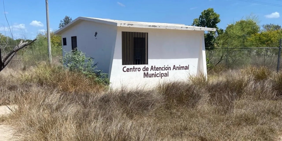 Donarán terreno del antiguo Centro Animal a la asociación 'Milagro Canino' en Navojoa