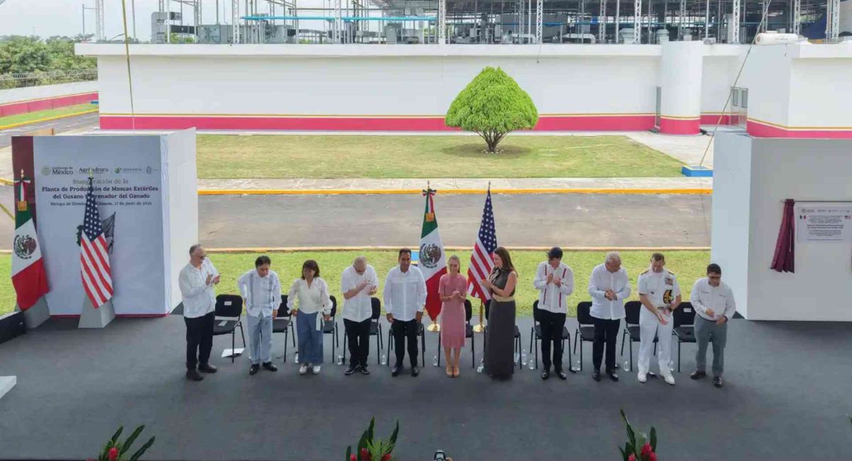 Inauguran en Chiapas planta para producir moscas estériles contra el gusano barrenador