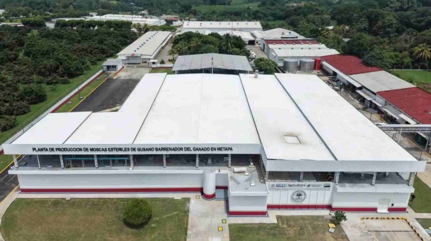 Inicia operaciones en Chiapas planta de producción de moscas estériles