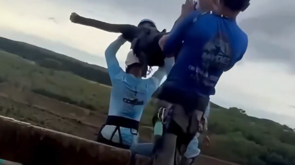 (VIDEO) Muere mujer tras caer 30 metros en Brasil por falla en equipo de seguridad