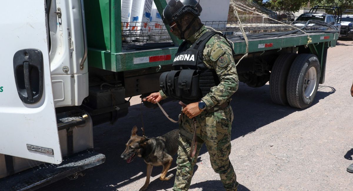 Municipio de Cajeme ejecuta revisiones preventivas con ayuda de binomio K9 y dron