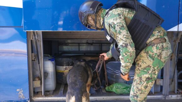 Municipio de Cajeme ejecuta revisiones preventivas con ayuda de binomio K9 y dron