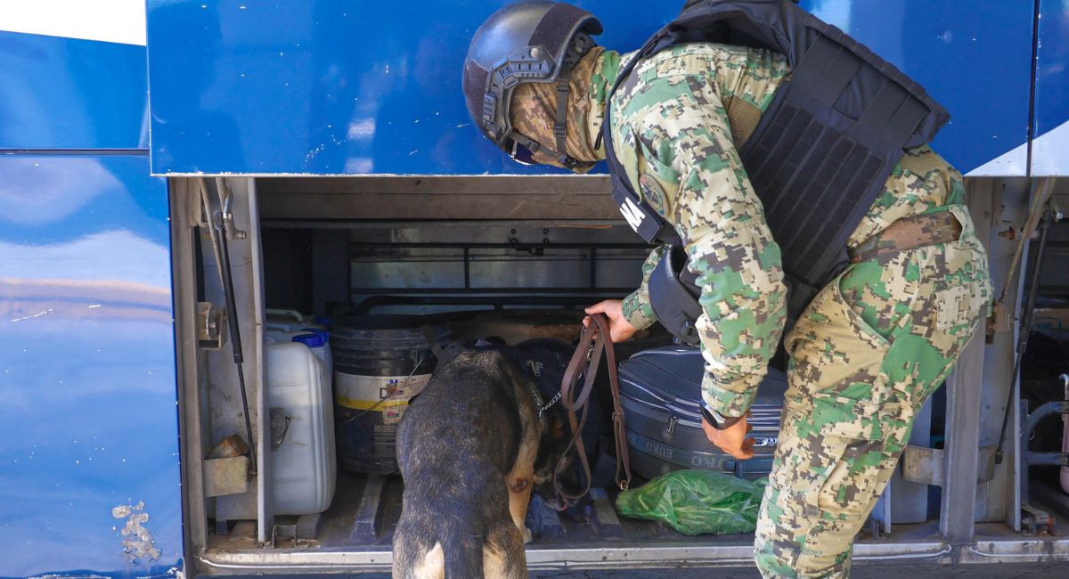 Municipio de Cajeme ejecuta revisiones preventivas con ayuda de binomio K9 y dron