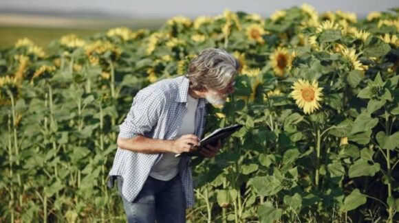 ¿Vale la pena estudiar Ingeniería Agropecuaria actualmente?