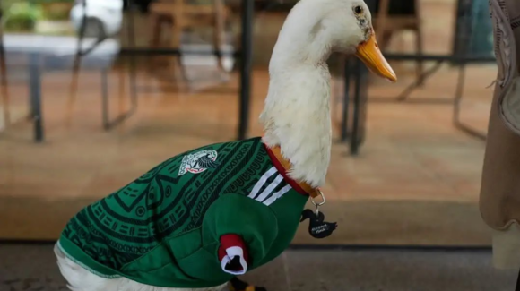 Pato Merlín llega al México vs Chequia y causa furor entre aficionados