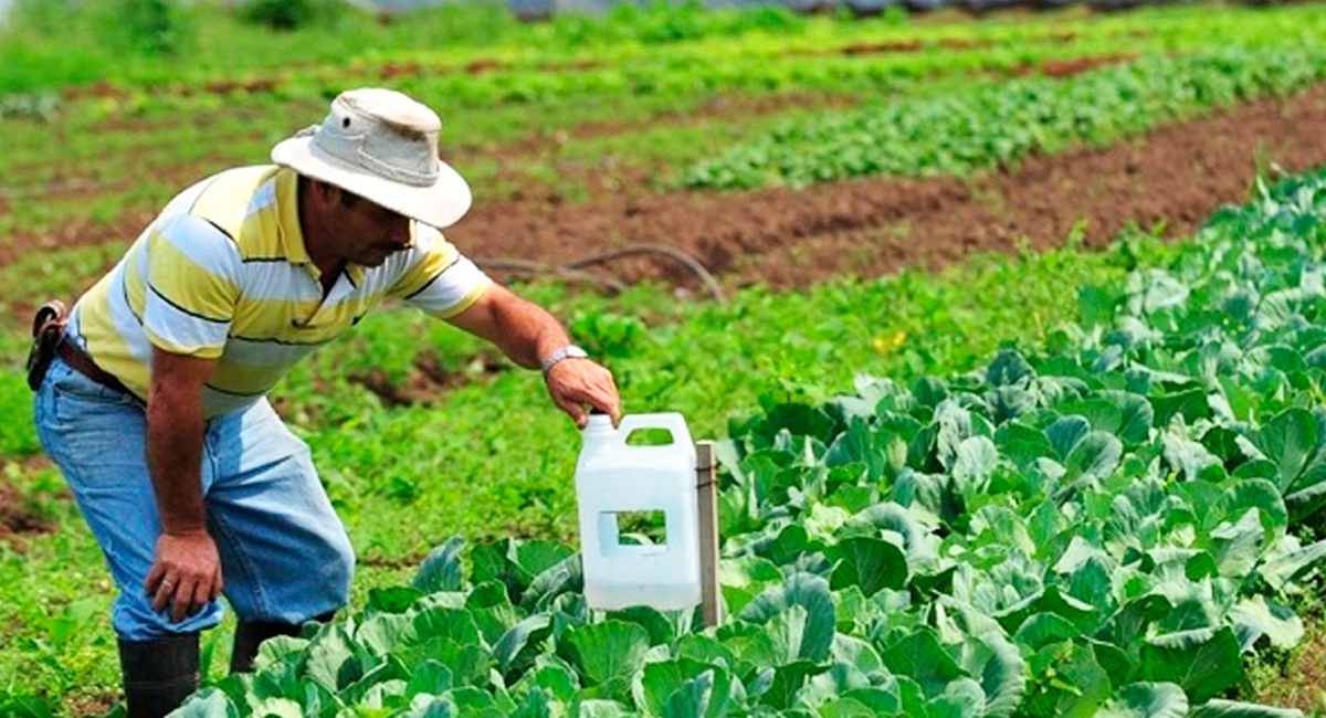 Urgen productores de trigo definir apoyos emergentes ante vencimiento de créditos financieros