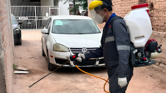 Salud Sonora refuerza acciones contra la rickettsia ante las altas temperaturas