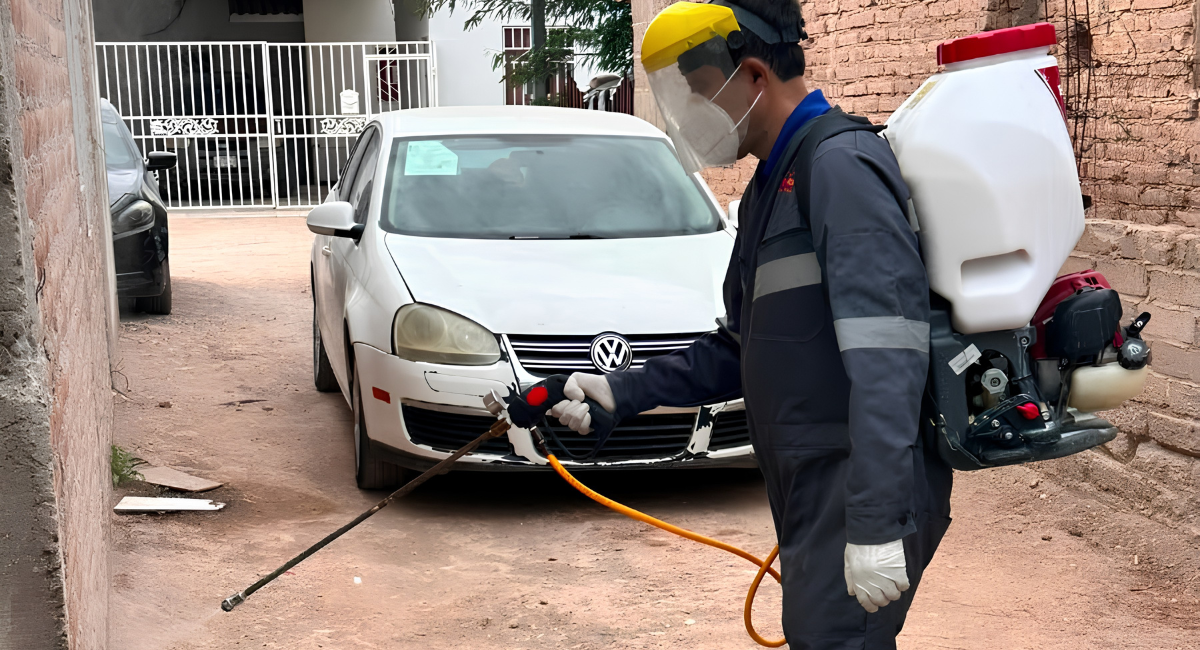 Salud Sonora refuerza acciones contra la rickettsia ante las altas temperaturas