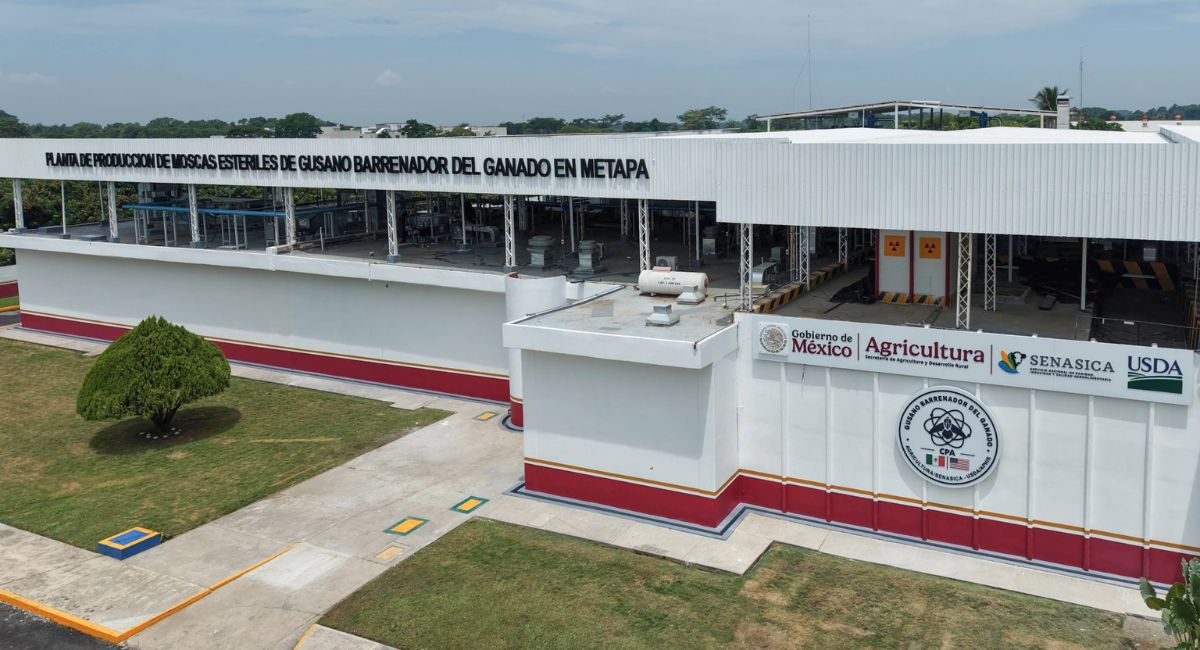 Sheinbaum destaca la nueva Planta de Moscas Estériles como ejemplo de cooperación con Estados Unidos