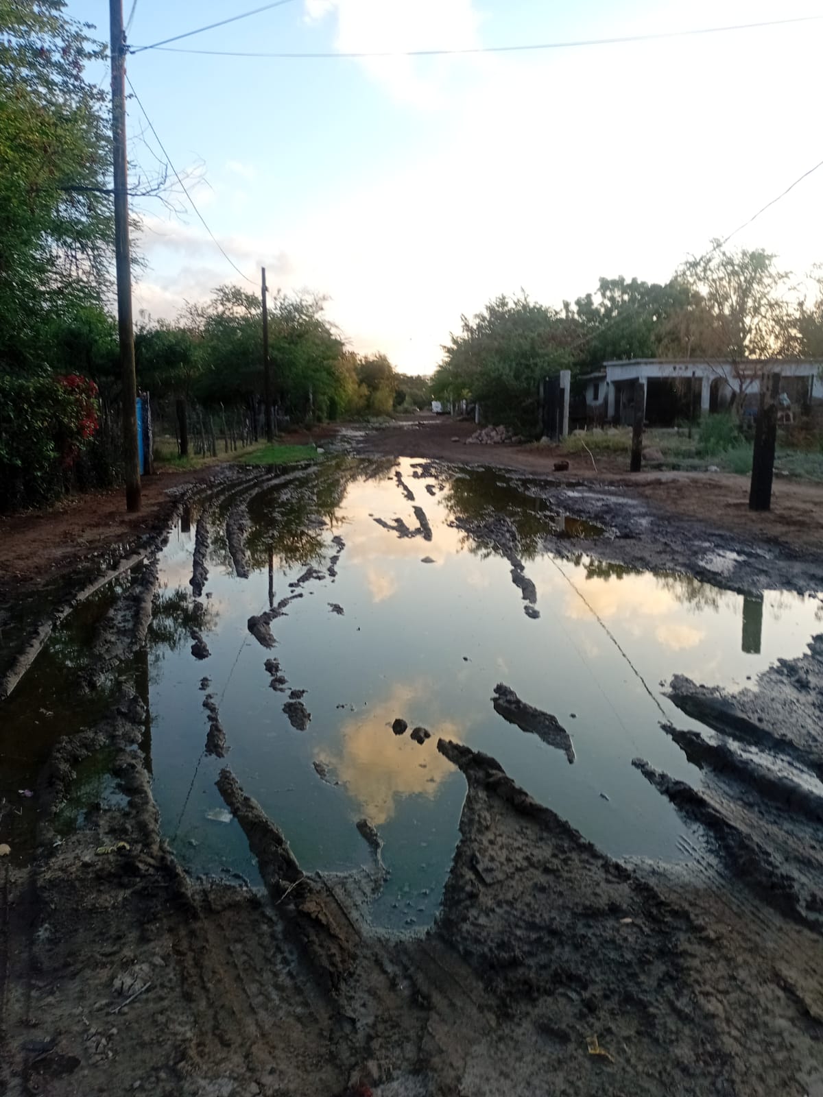 Vecinos de Empalme exigen atención por fugas, mosquitos y acumulación de basura