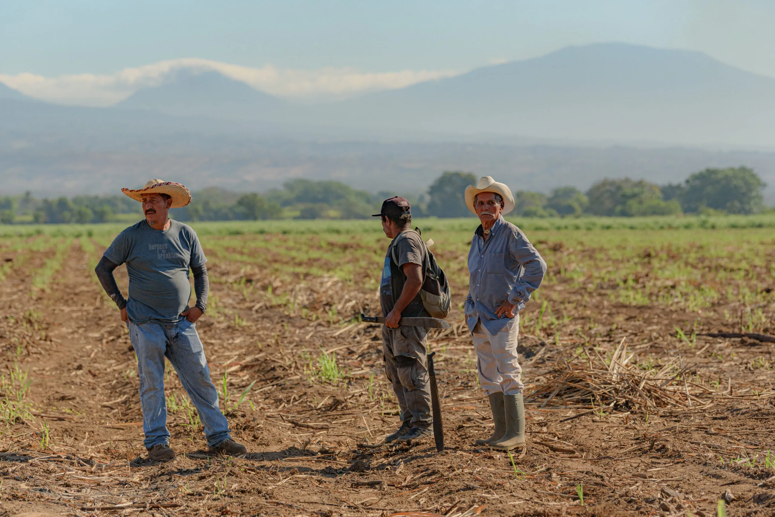 Jornaleros de Guaymas y Empalme viajan en condiciones de riesgo; urgen regular transporte agrícola