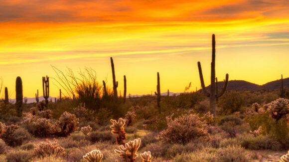 ¿Cuál será la temperatura máxima en Hermosillo HOY? Así será el CLIMA este LUNES 22 de junio