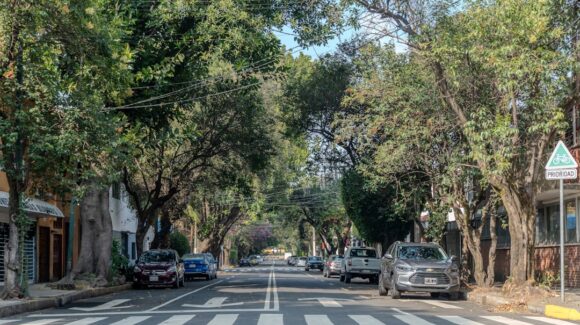 Hoy No Circula sabatino: Estos autos no podrán transitar HOY sábado 20 de junio del 2026