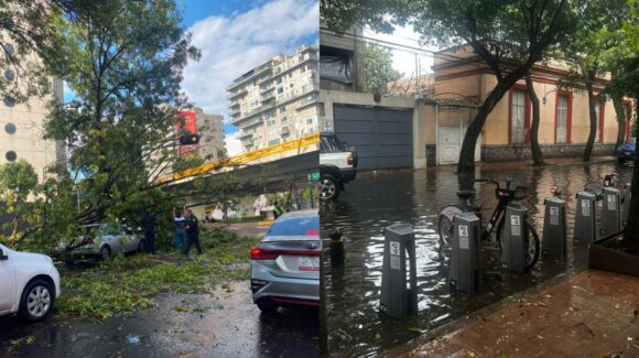 Fuertes lluvias provocan caída de más de 50 árboles y afectaciones en distintos puntos de CDMX