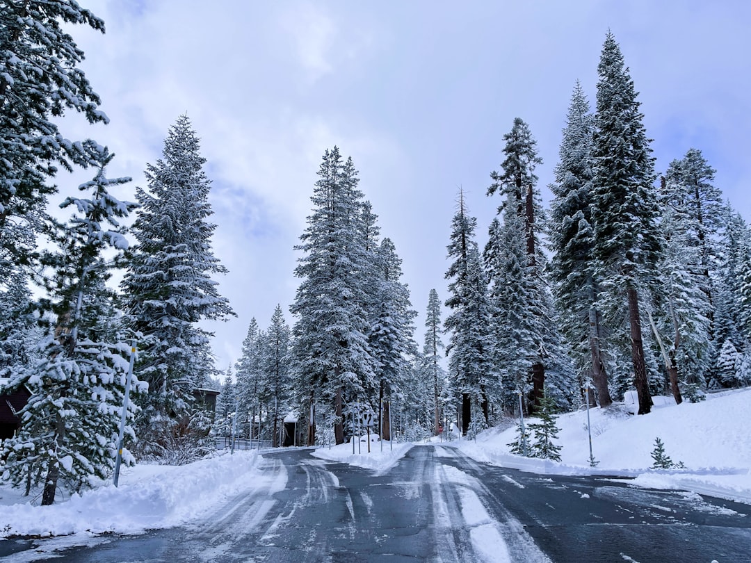 Advierten lluvias y nevadas en México HOY por Segunda Tormenta Invernal y Frente Frío 22