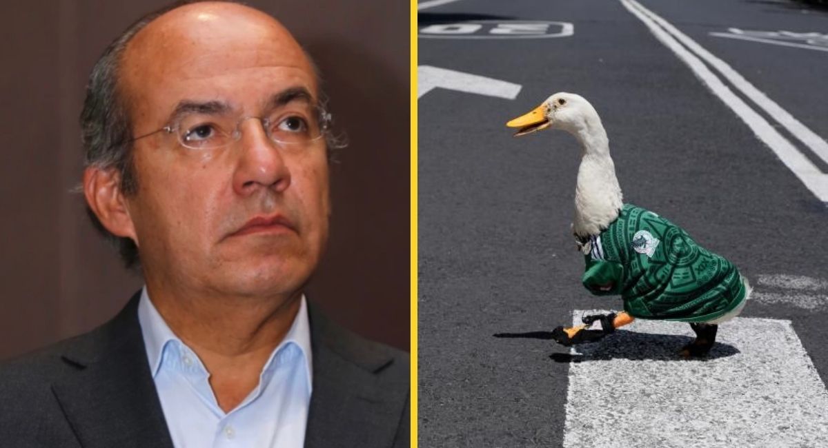 Calderón exige a FIFA apoyo económico para el pato Merlín