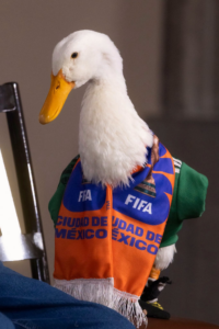 Pato Merlín visita Palacio Nacional acompañado de su familia