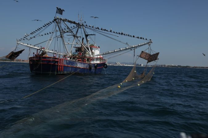 Pesca de altamar y ribereña navega en crisis; flota camaronera se encuentra abandonada